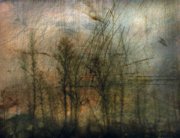 Zidlicky Vladimir Landscape No. 101